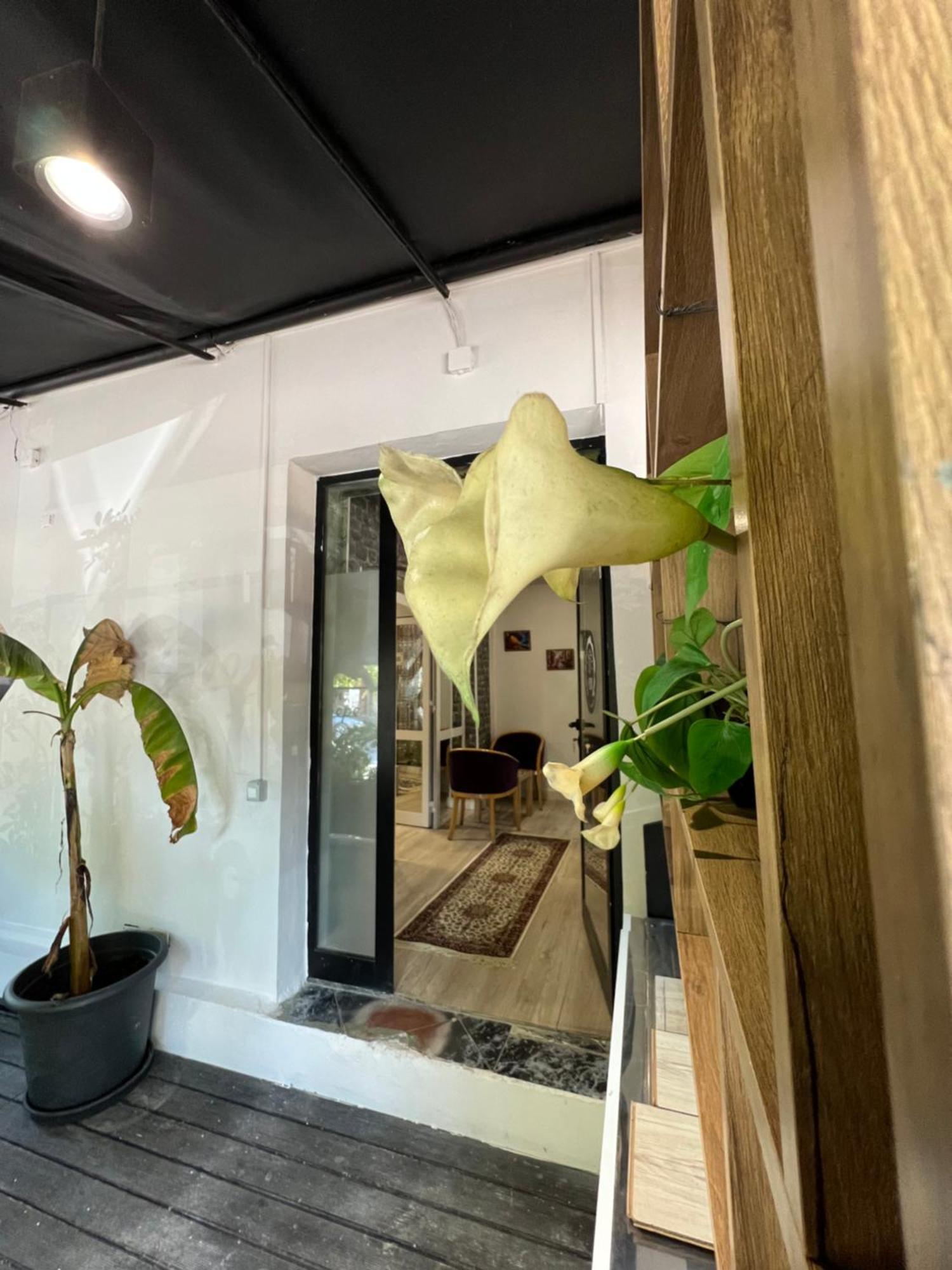 Destinacion Central Room Tirana Exterior photo